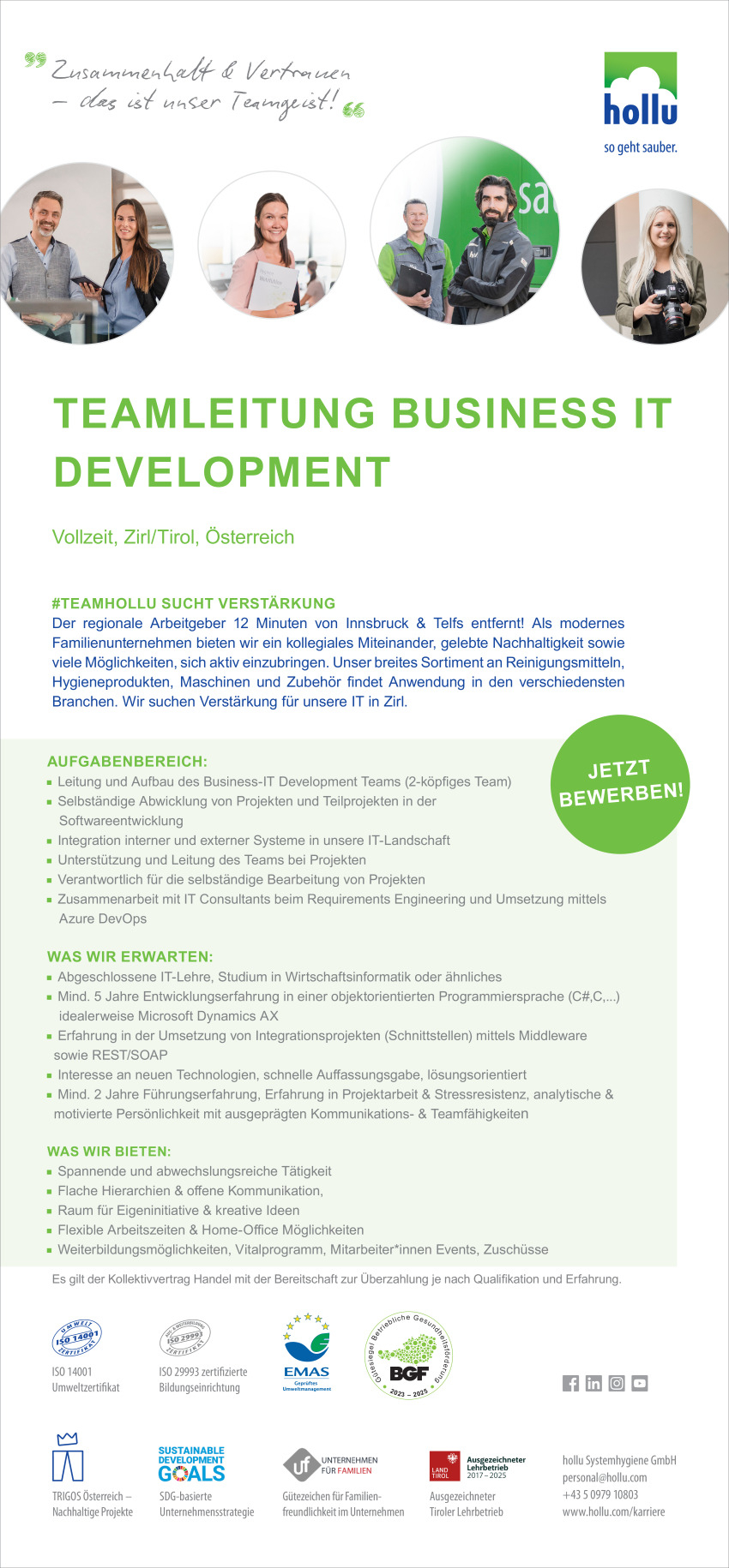 Teamleitung Business IT_ERP Consultant_final.pdf